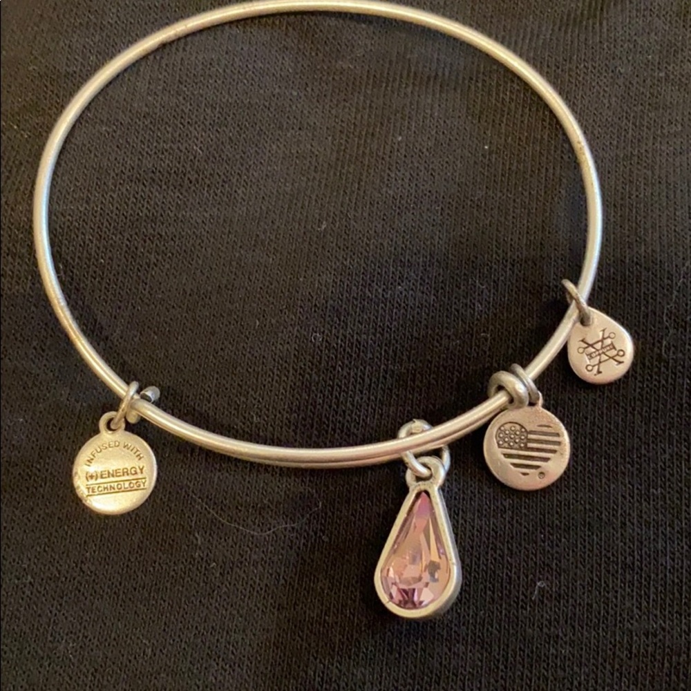 Alex and Ani Amethyst Silver Charm Bangle
